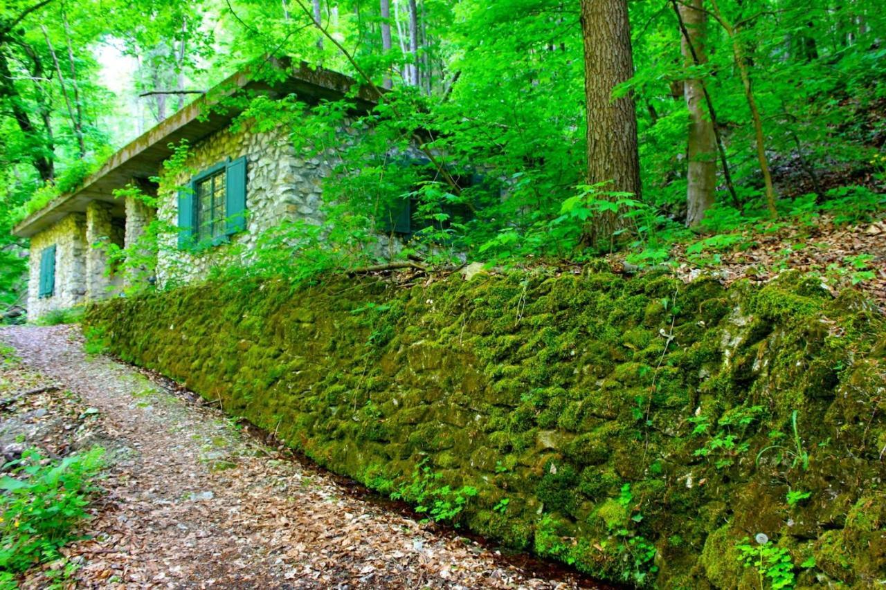 Hotel Antik Vendégház Nagyvisnyó Exterior foto