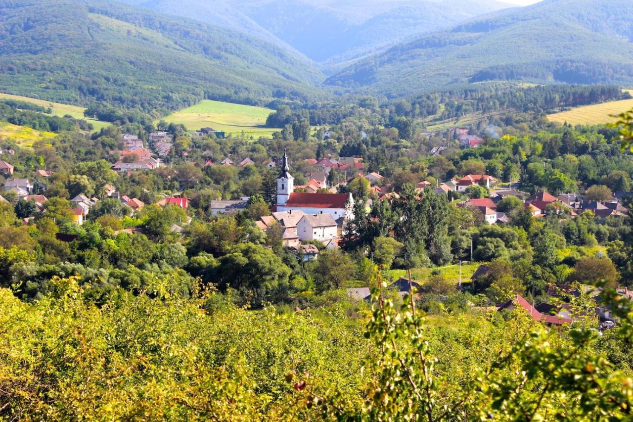 Hotel Antik Vendégház Nagyvisnyó Exterior foto